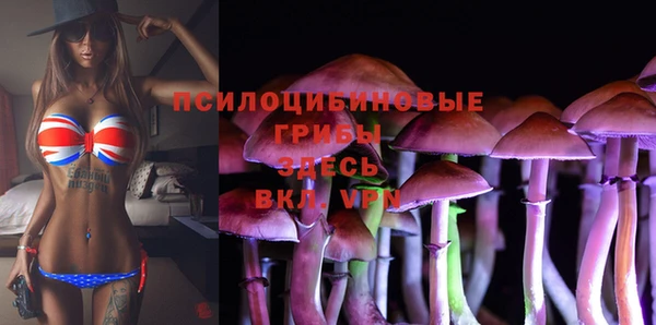 ешки Богданович