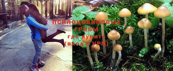 ешки Богданович