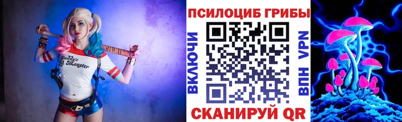 mega ONION  Венёв  Псилоцибиновые грибы Cubensis 